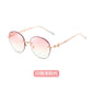 Sunglasses 97002