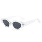 (6 PACK) Wholesale Sunglasses New Arrival Unique Small Cat Eye Fashion Women 2023 - BulkSunglassesWholesale.com - Transparent Frame Black Lens