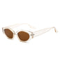 (6 PACK) Wholesale Sunglasses New Arrival Unique Small Cat Eye Fashion Women 2023 - BulkSunglassesWholesale.com - Champagne Frame Tea Lens
