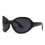 (6) PACK Wholesale Sunglasses 2023 M231601