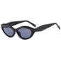(6 PACK) Wholesale Sunglasses New Arrival Fashion Oval Small Trendy 2023 - BulkSunglassesWholesale.com - Shiny Black Frame