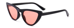 (6 PACK) Wholesale Sunglasses 2022 M214811 - Bulk Sunglasses Wholesale