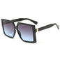 (6 PACK) Wholesale Sunglasses BJ1601