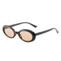 (6 PACK) Wholesale Sunglasses 2022 M114812 - Bulk Sunglasses Wholesale