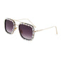 Sunglasses B1202