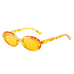 (6 PACK) Wholesale Sunglasses 2022 M114812 - Bulk Sunglasses Wholesale